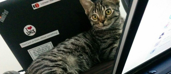 taskulu